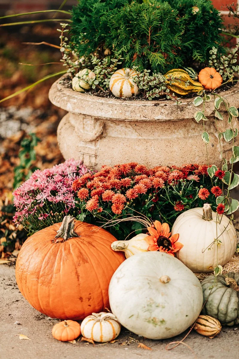 Festive autumn display with pumpkins of various colors, orange and pink flowers, and greenery in a stone planter, creating a warm, seasonal vibe.