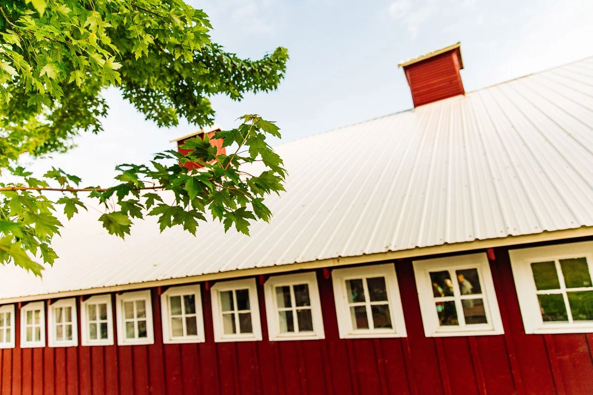 Red barn with white-framed windows and a metal roof under a blue sky. Green leaves of a nearby tree create a vibrant, peaceful rural scene.