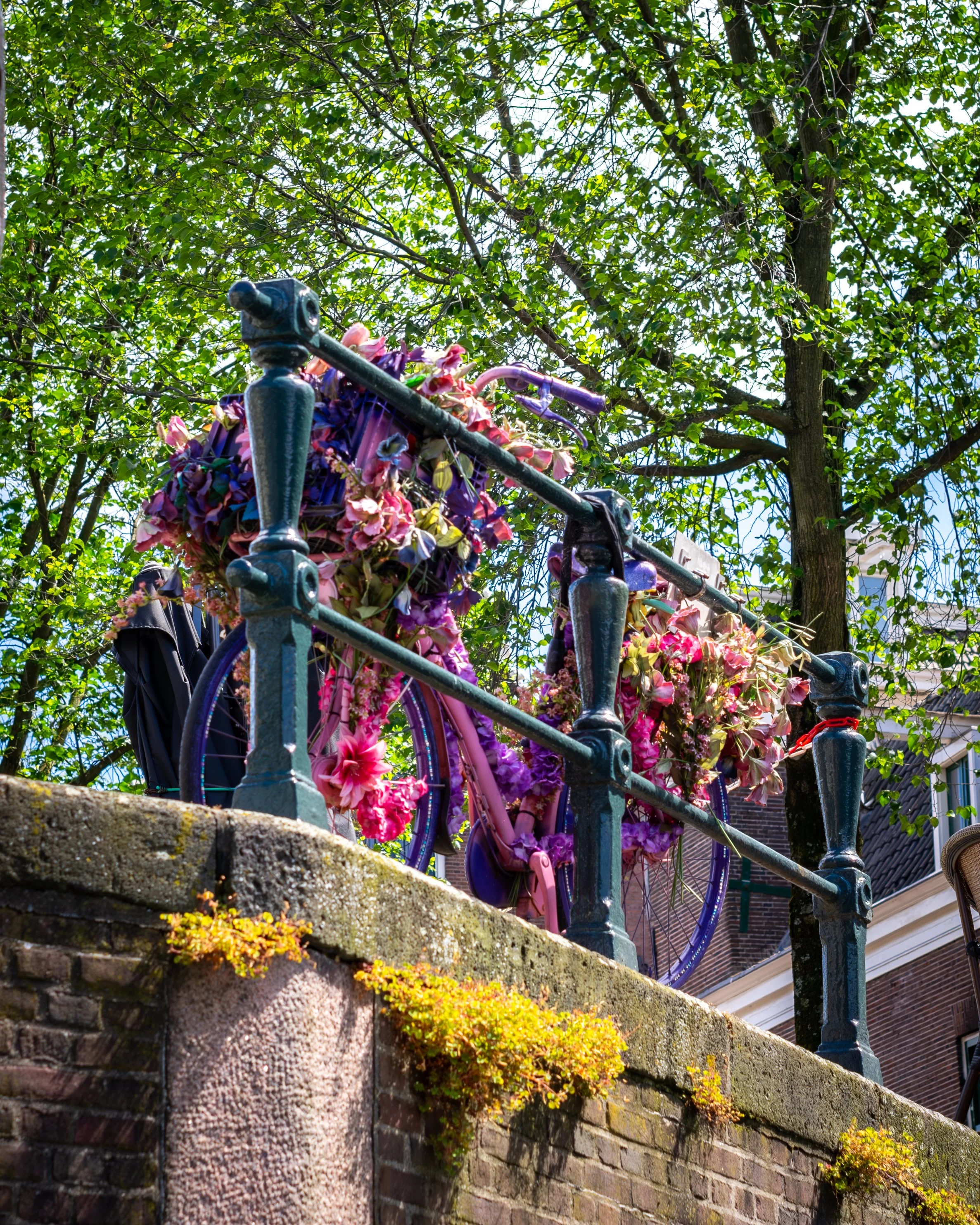 XT1G5370-Enhanced-NR.jpg