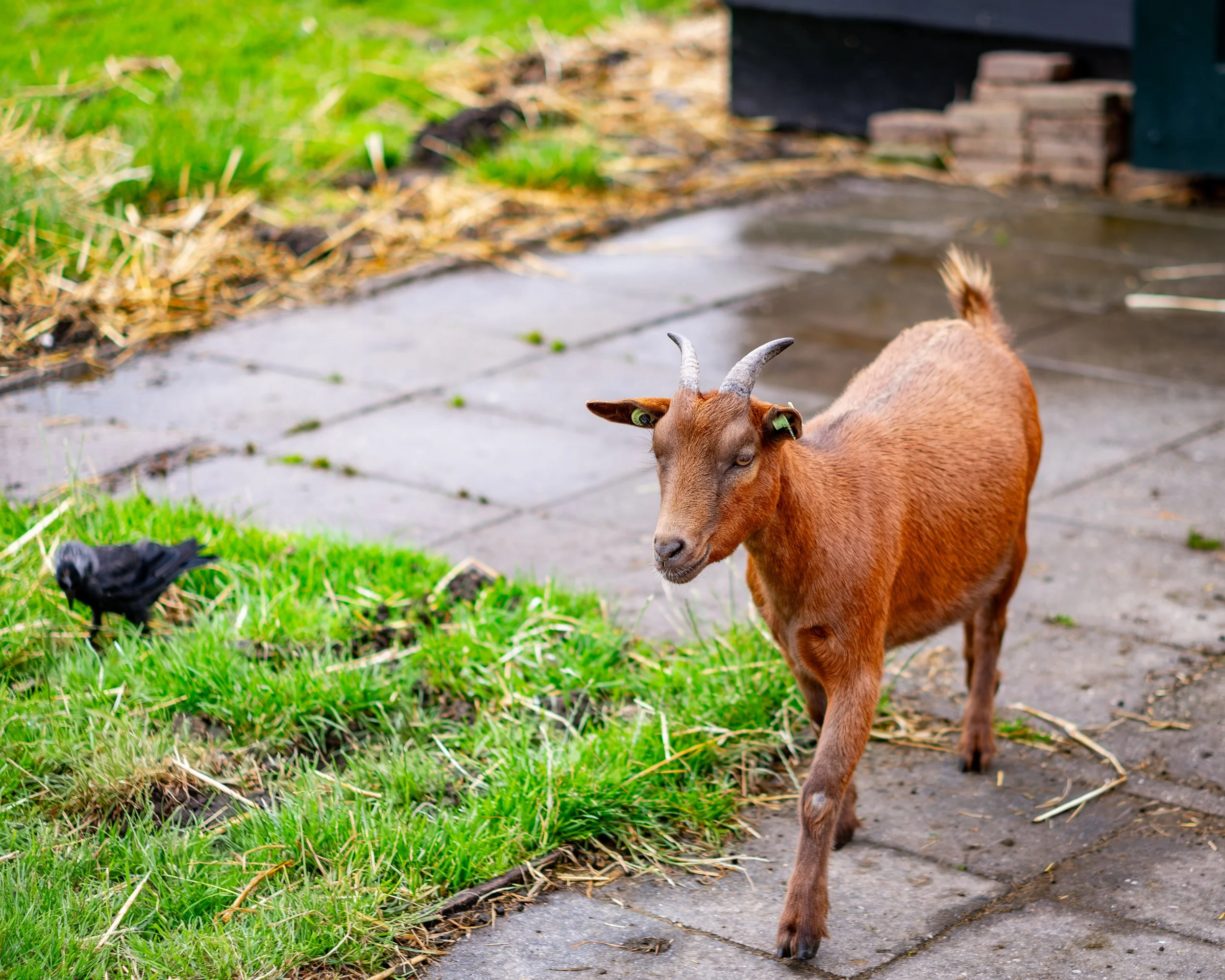 XT1G5497-Enhanced-NR.jpg