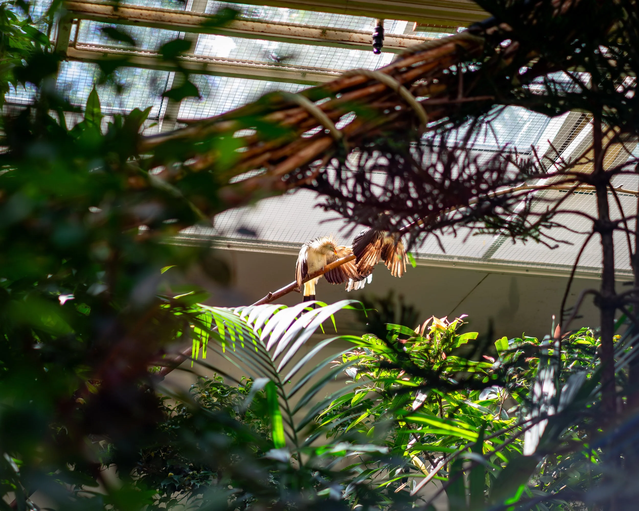 XT1G5557-Enhanced-NR.jpg