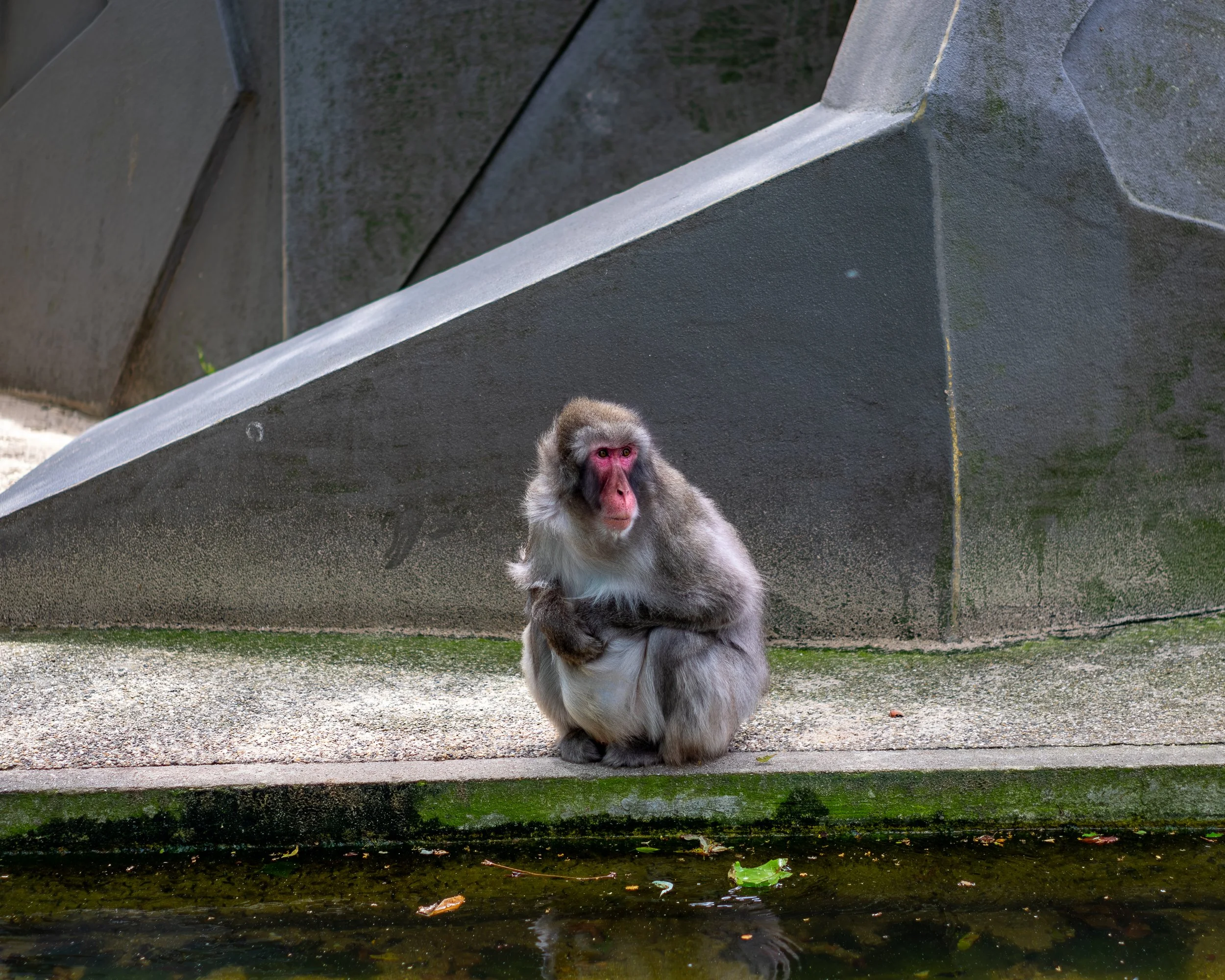 XT1G5581-Enhanced-NR.jpg