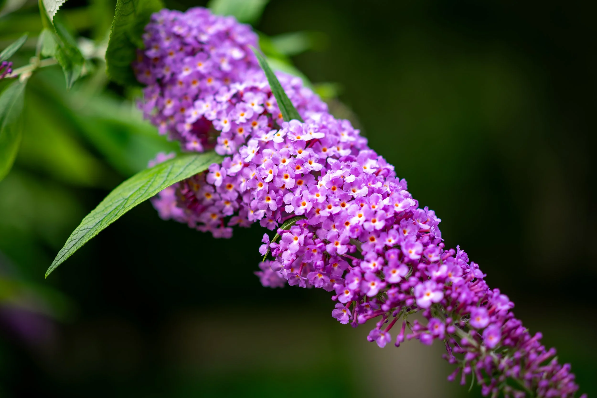 XT1G5677-Enhanced-NR.jpg