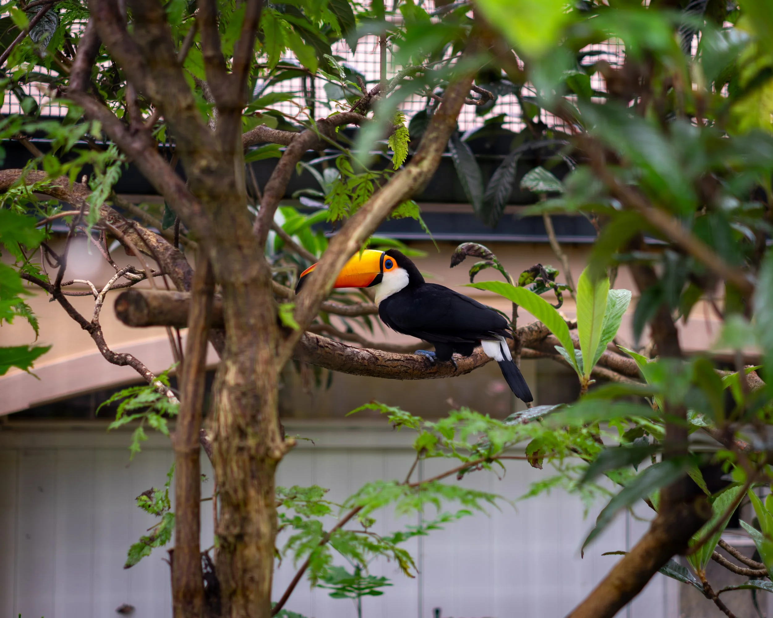XT1G5680-Enhanced-NR.jpg