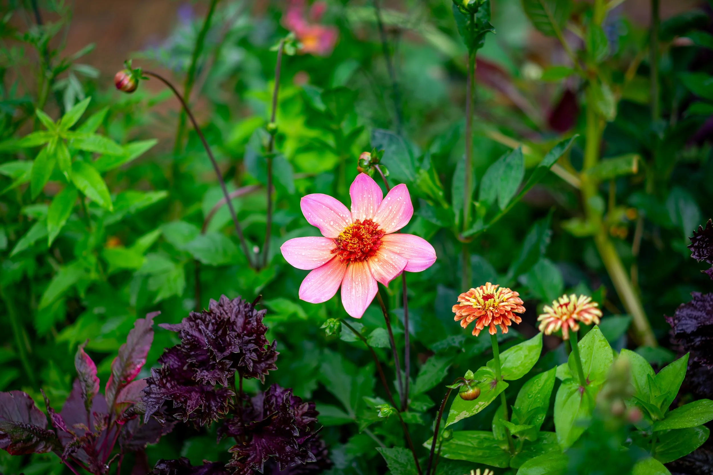 XT1G5681-Enhanced-NR.jpg