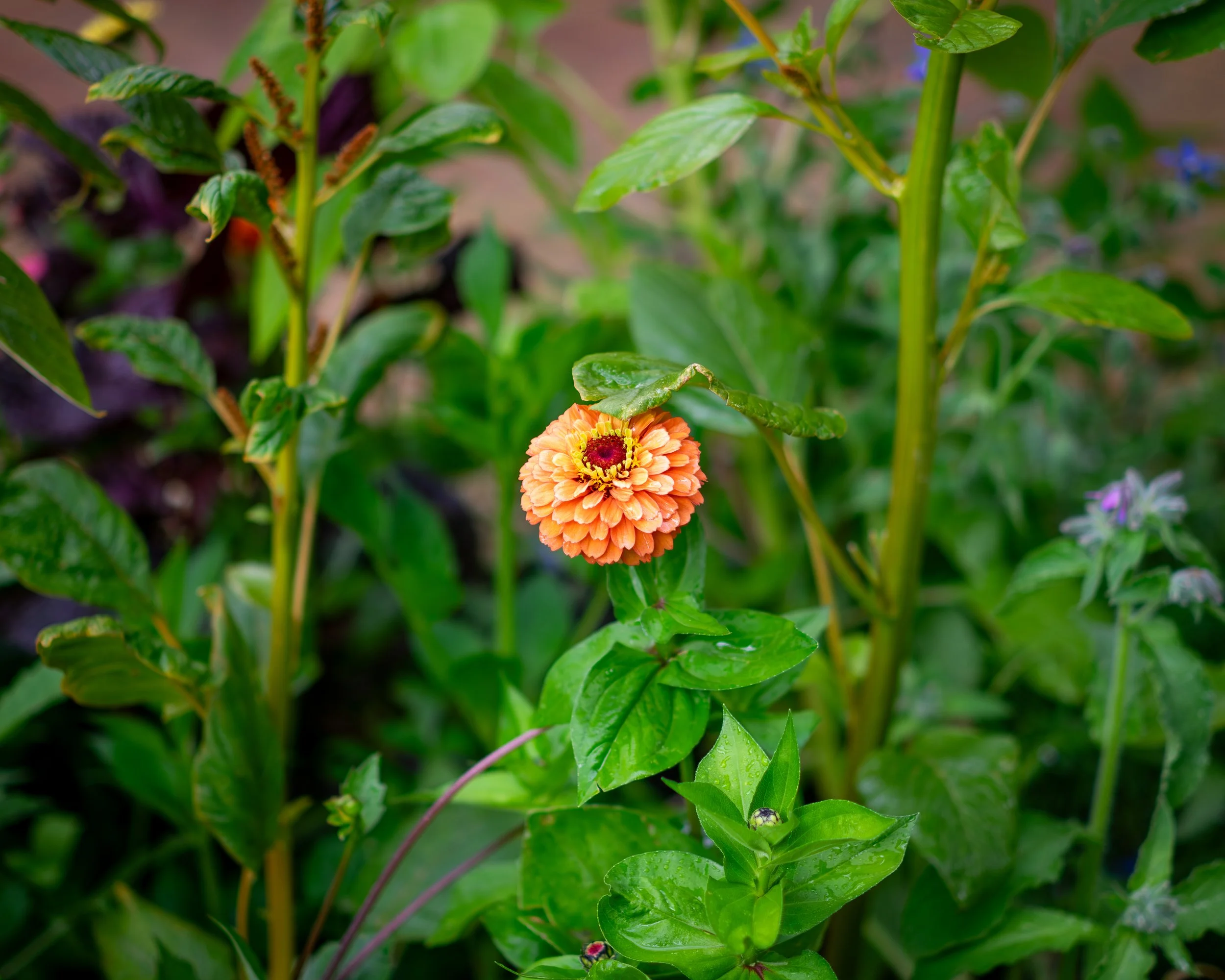 XT1G5682-Enhanced-NR.jpg