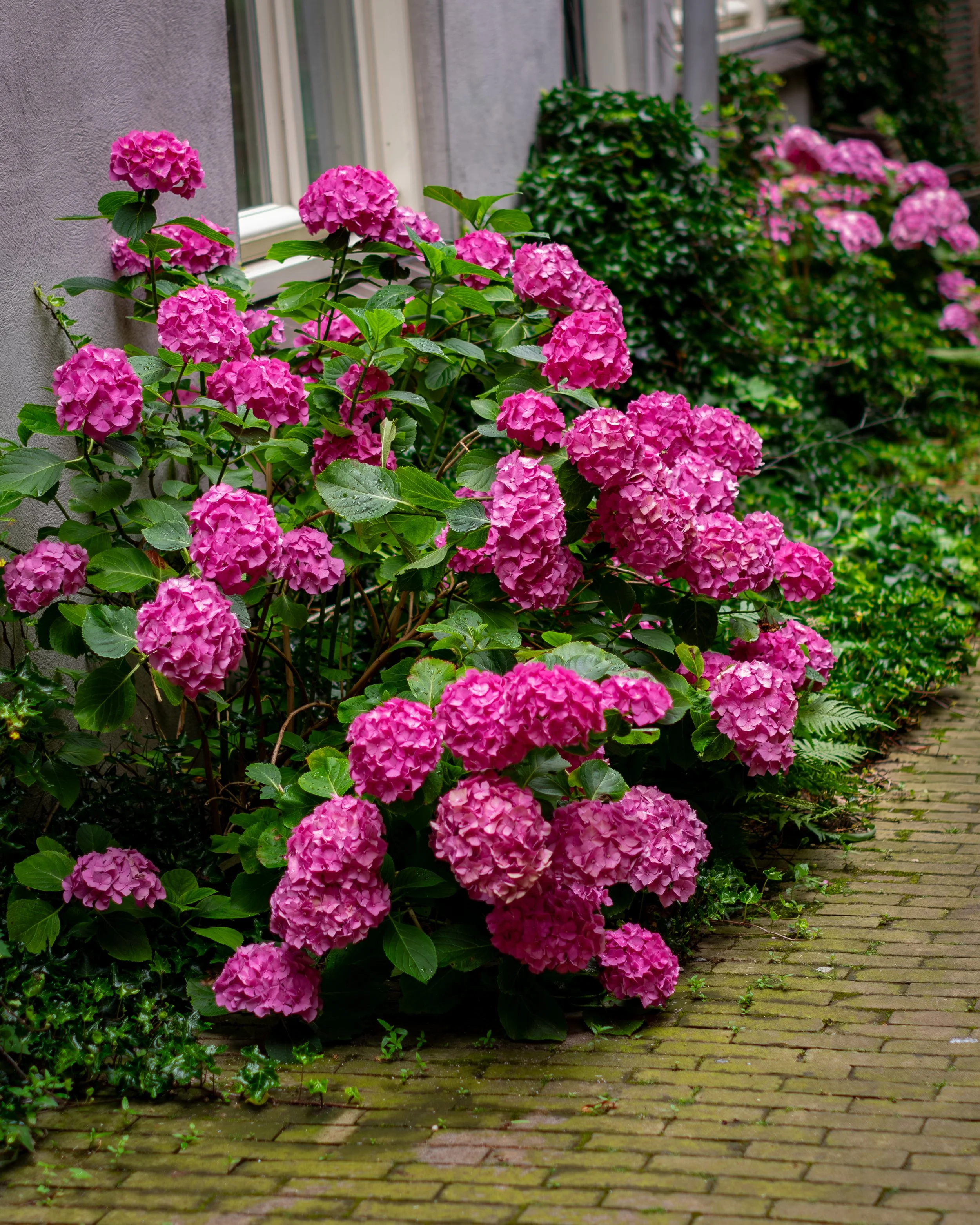 XT1G5759-Enhanced-NR.jpg