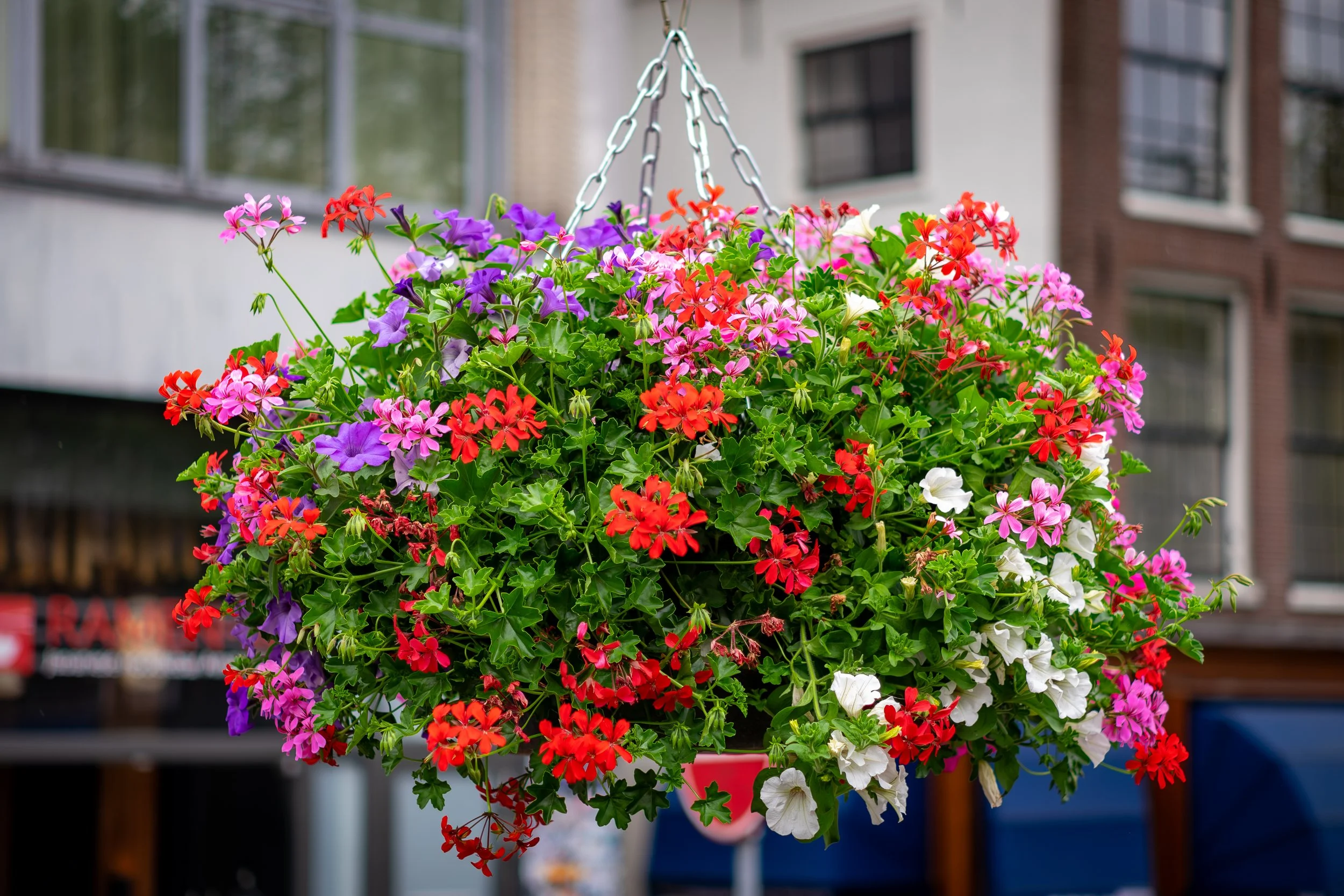 XT1G5775-Enhanced-NR.jpg