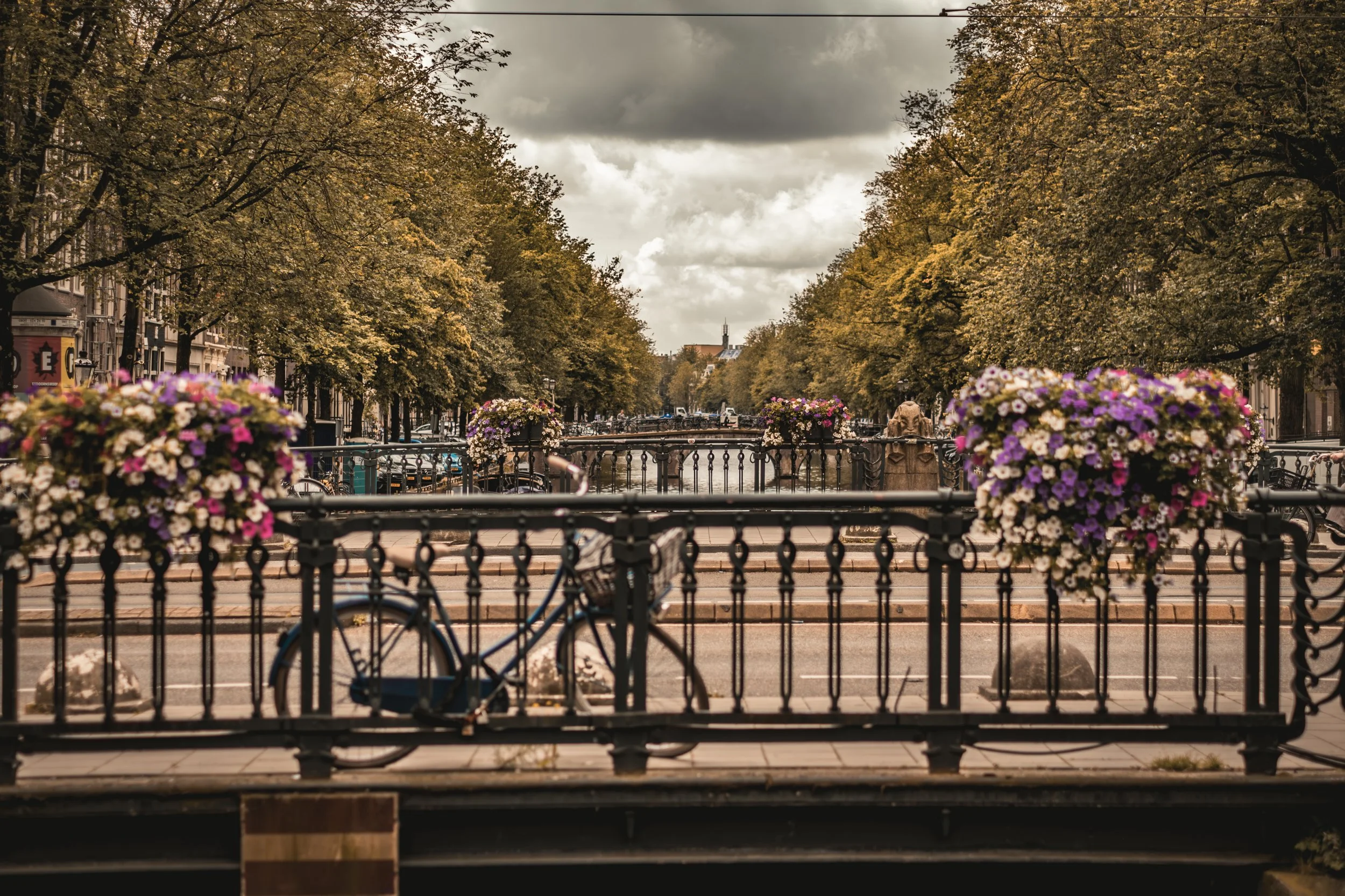 XT1G5805-Enhanced-NR.jpg
