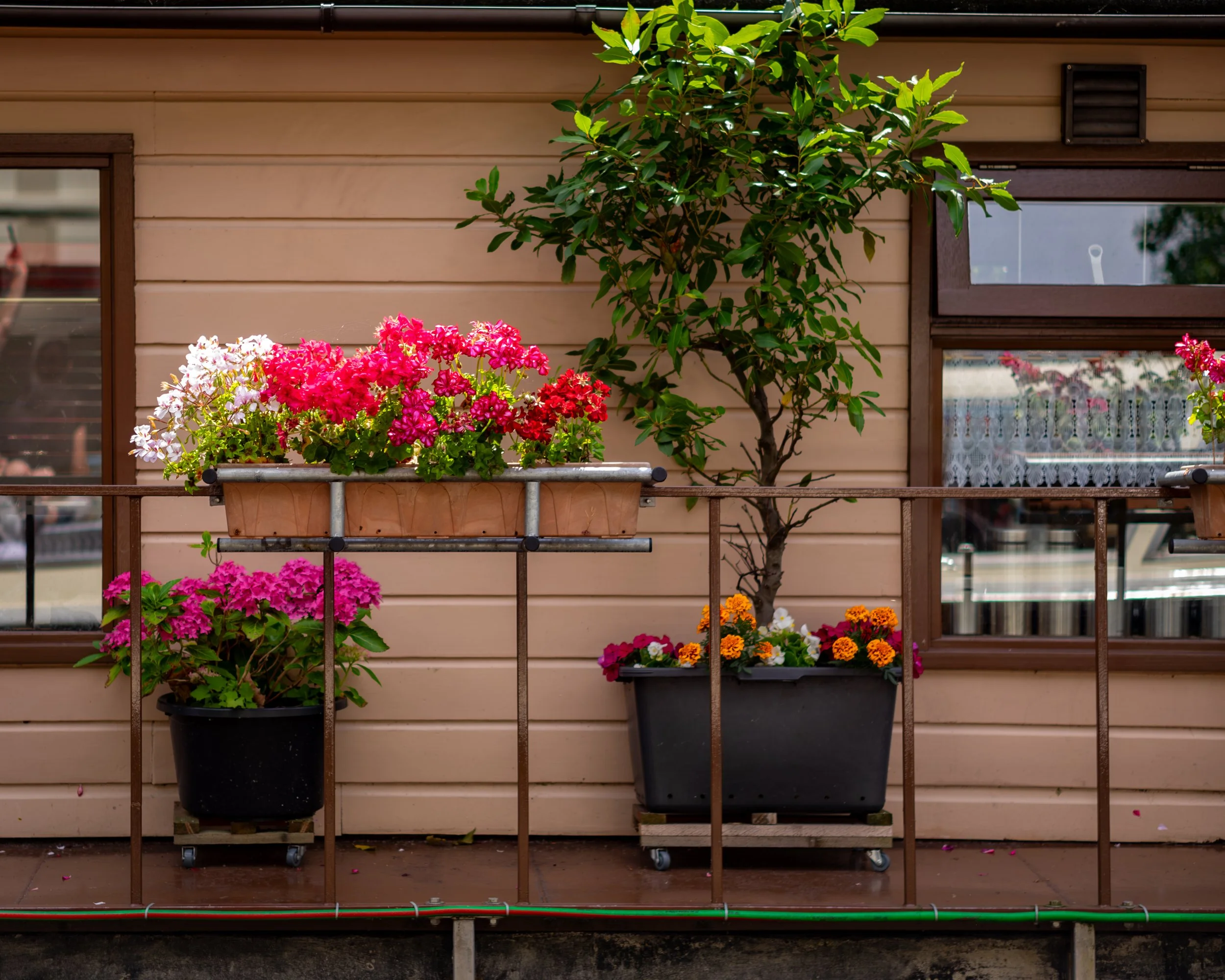 XT1G5831-Enhanced-NR.jpg