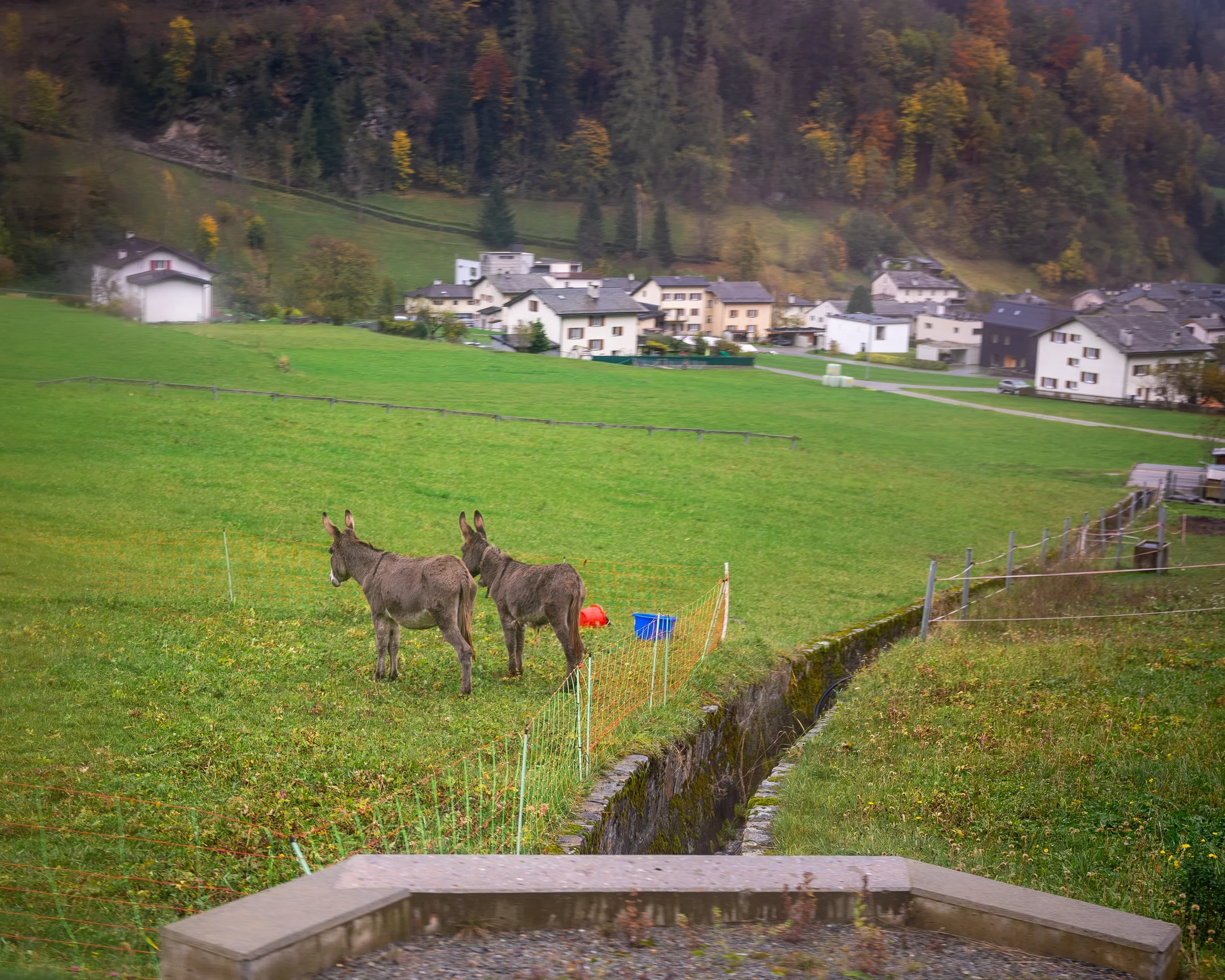XT1G7763-Enhanced-NR.jpg
