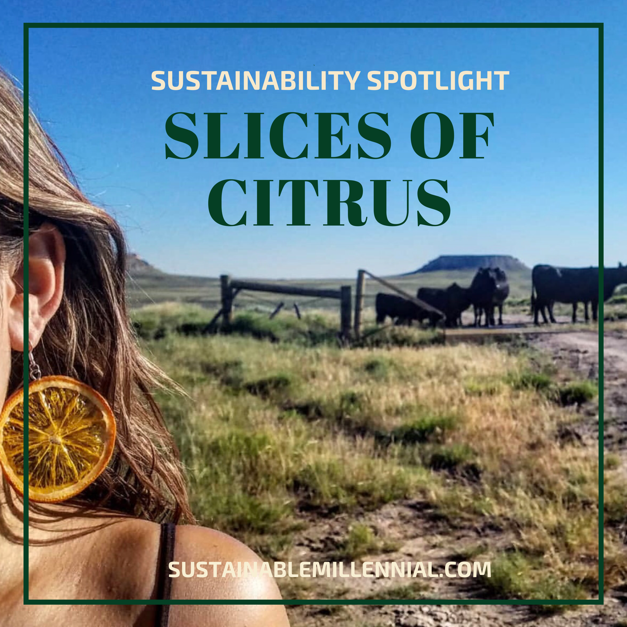 Sustainability Spotlight: Slices of Citrus, Leah Sachs