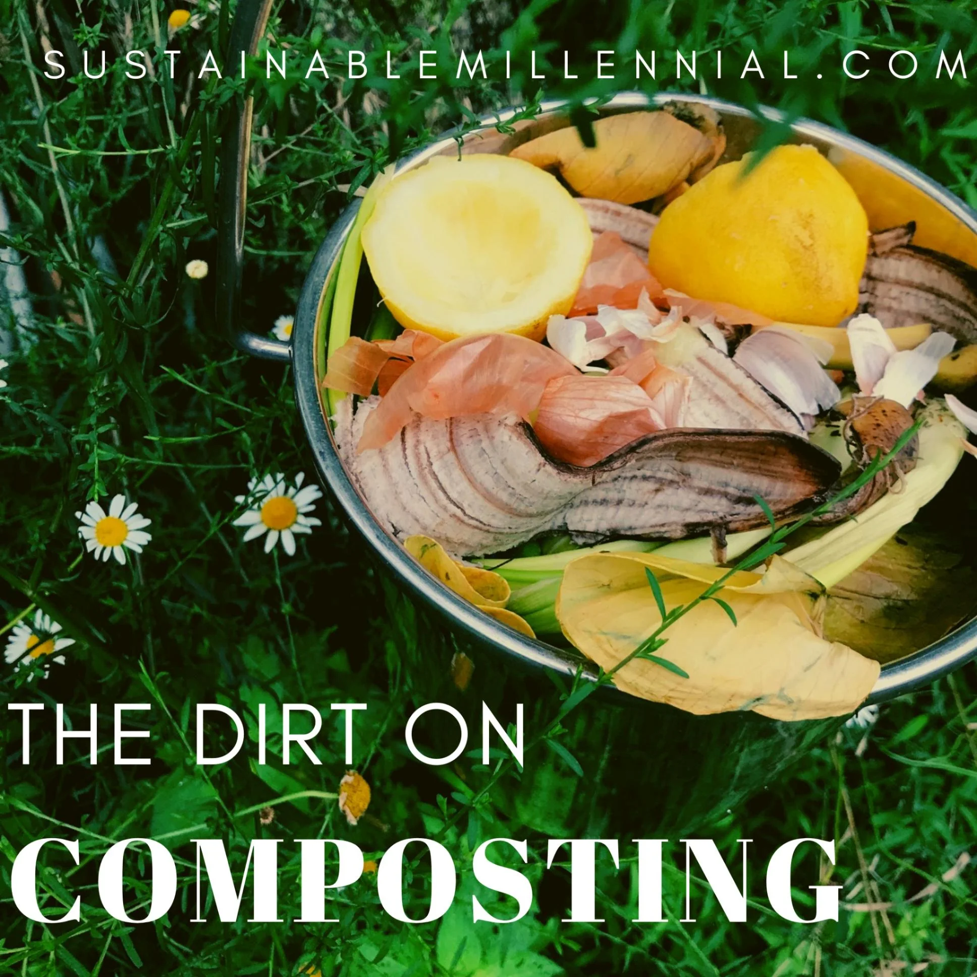 The Dirt on Composting