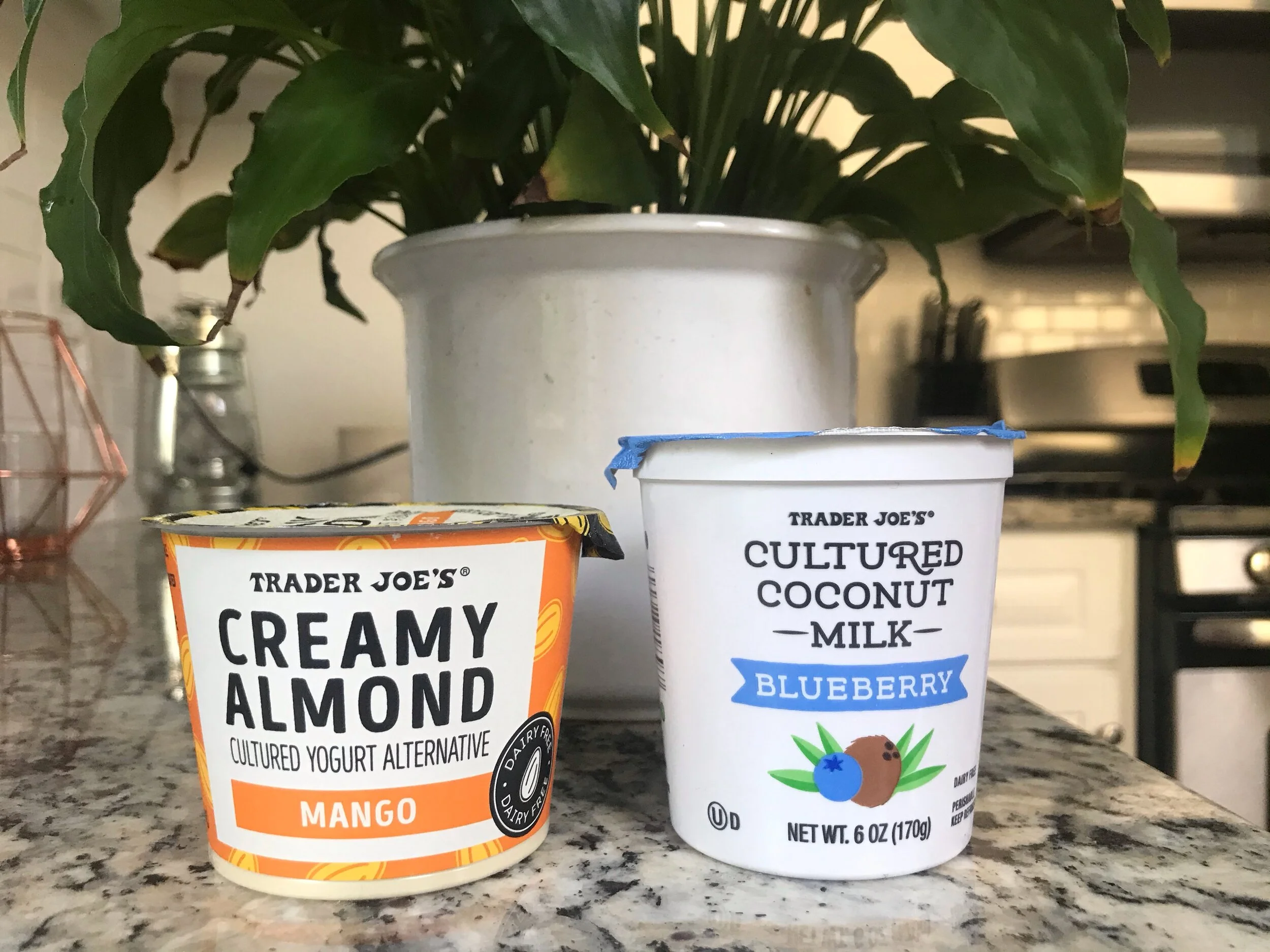 Plant Based Yogurt The 411 — Sustainable Millennial