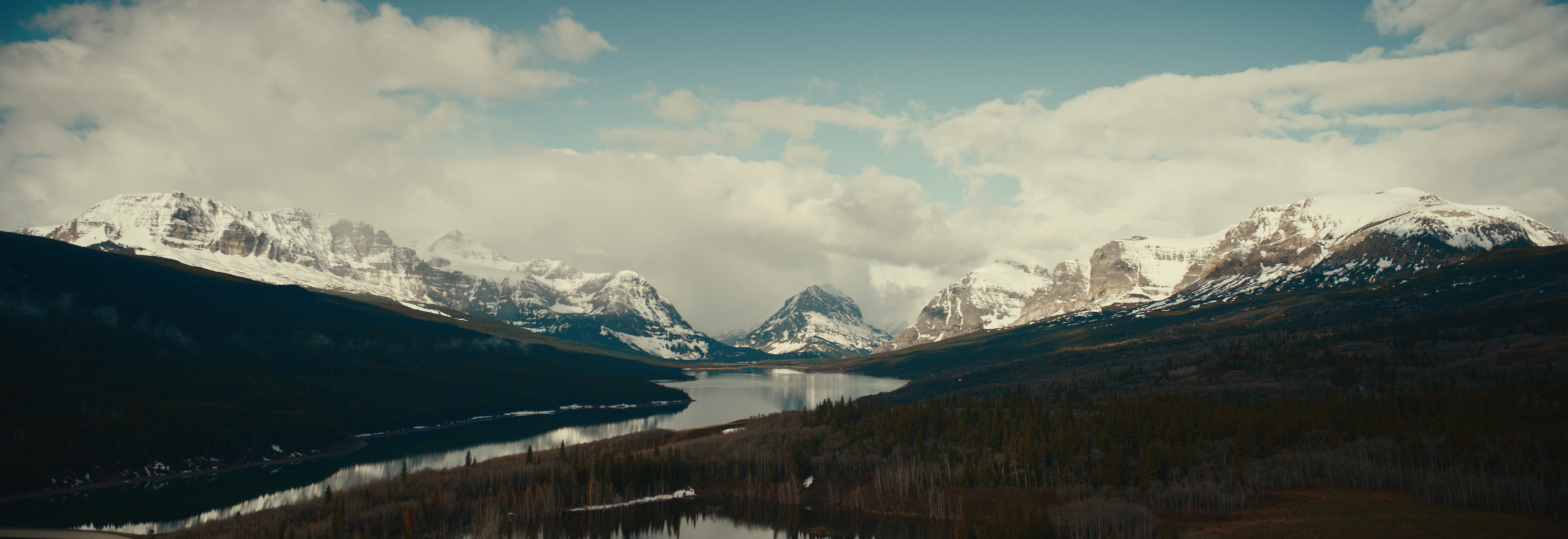 BUFFALO STILLS 25.png