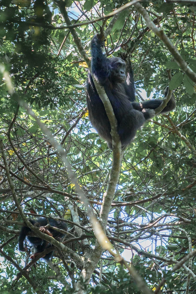 8C9A7581.jpg
