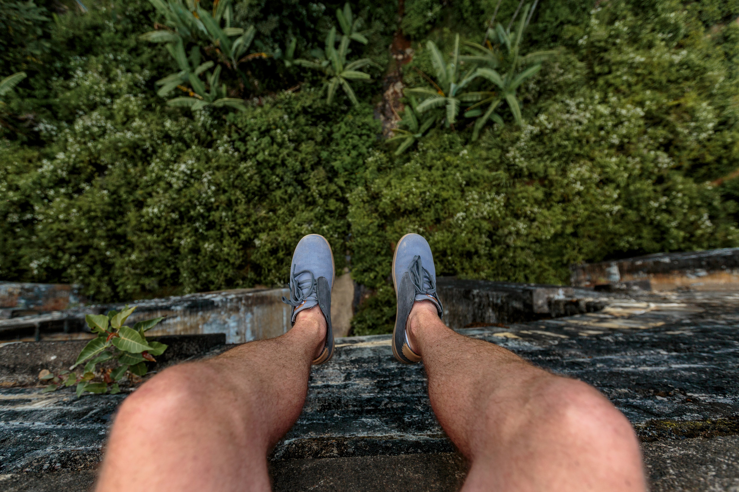 8C9A9490.jpg