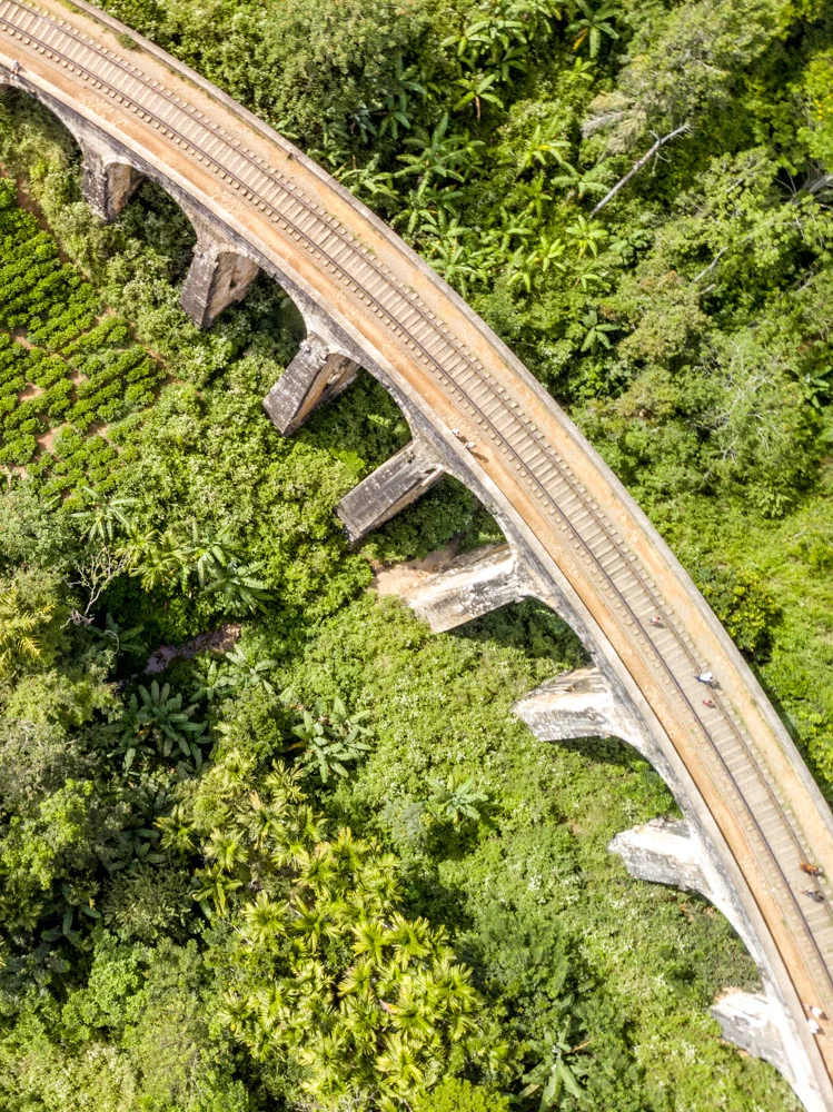 DJI_0290.jpg