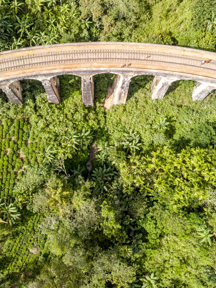 DJI_0289.jpg