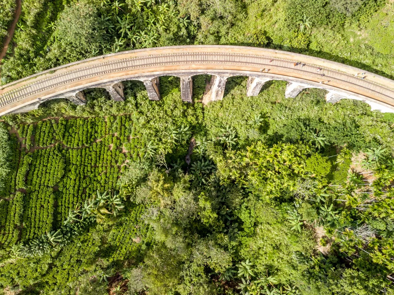 DJI_0287.jpg
