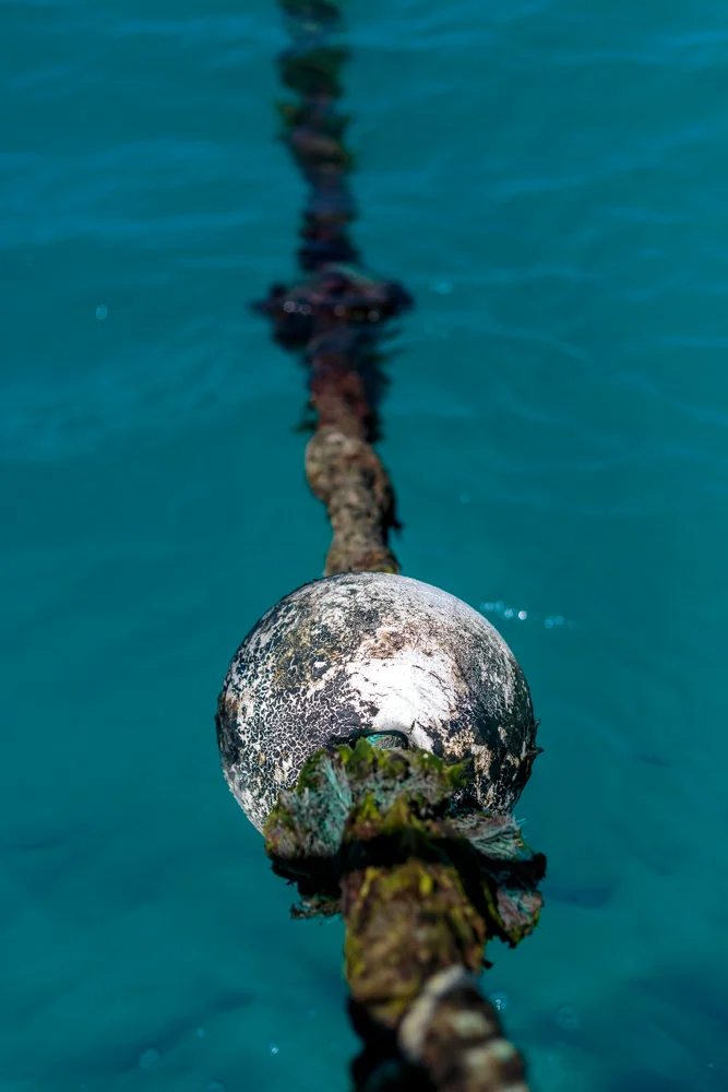 8C9A0749.jpg