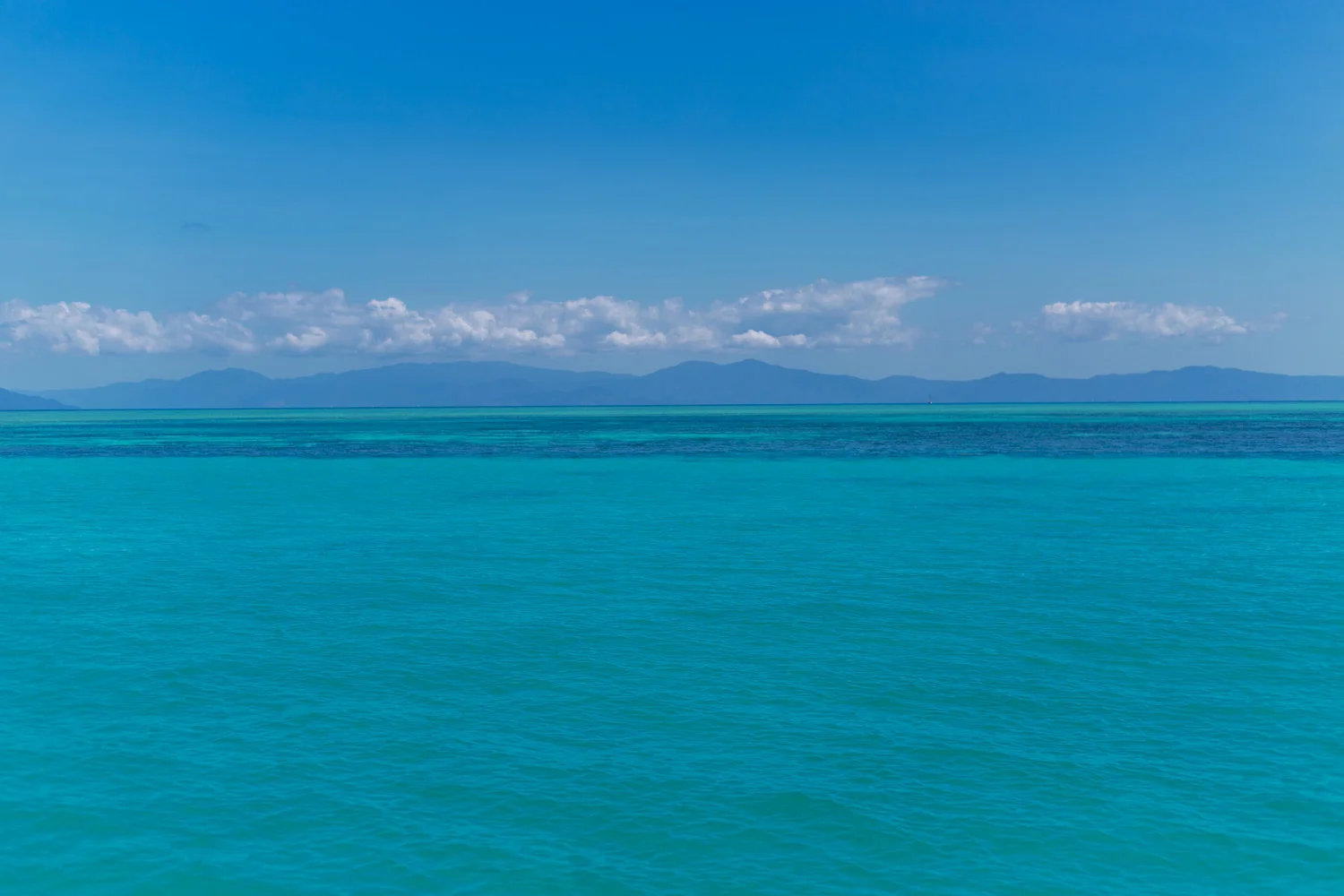 8C9A0752.jpg