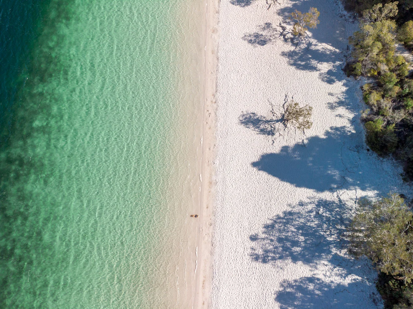 DJI_0545.jpg