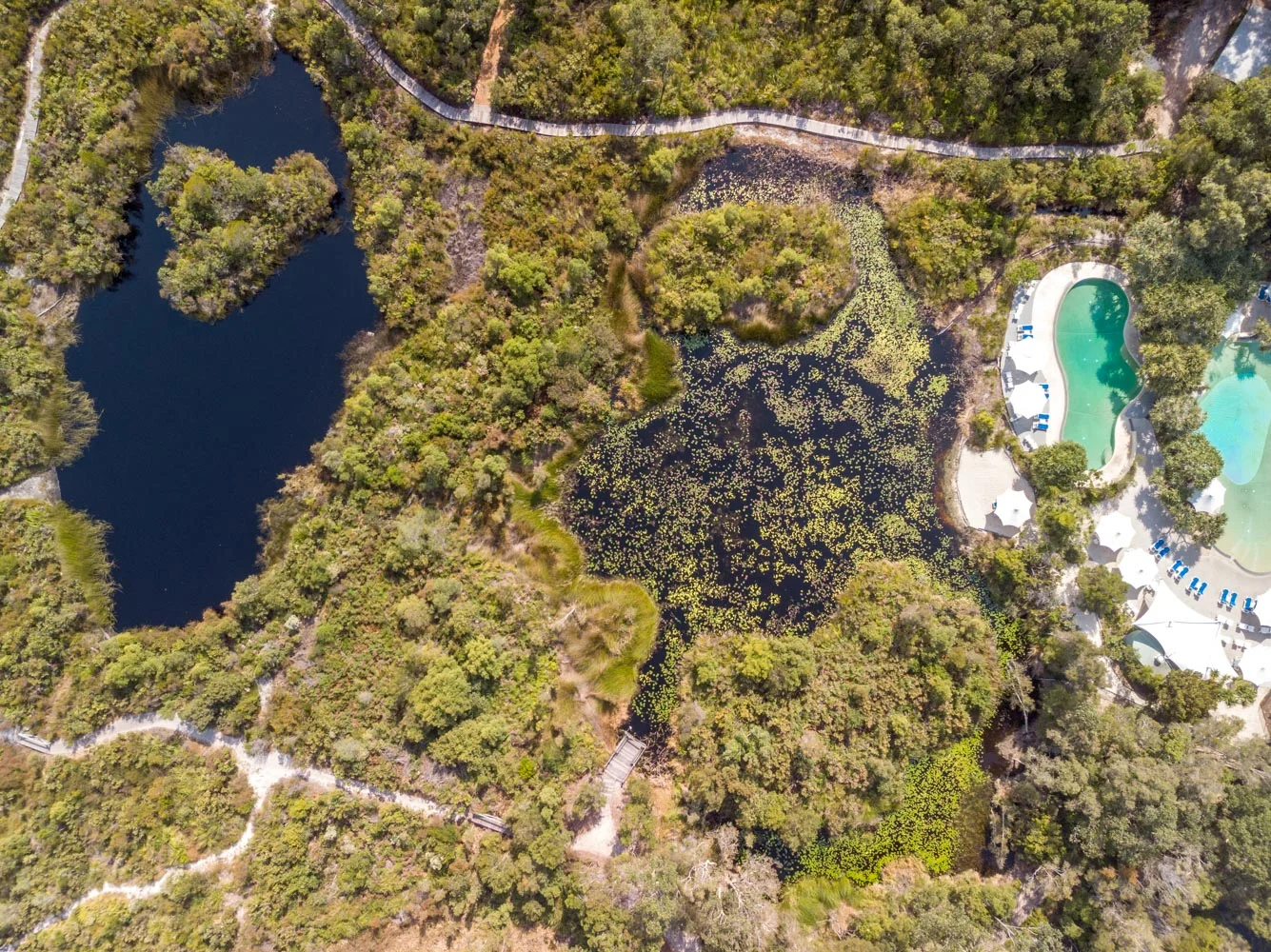 DJI_0594.jpg