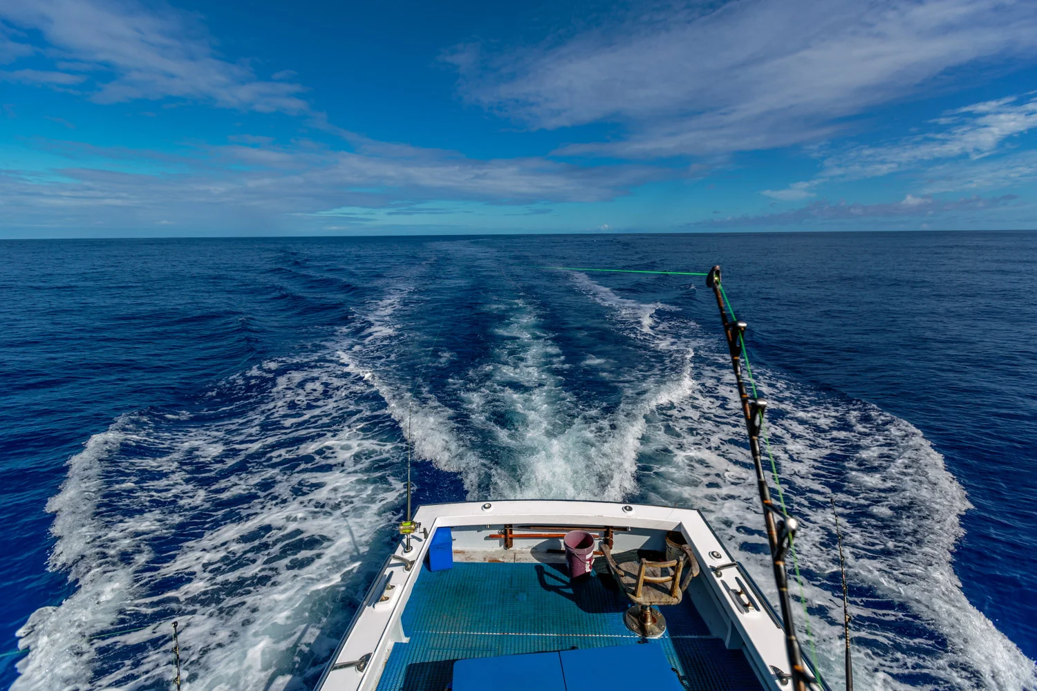 8C9A2414.jpg