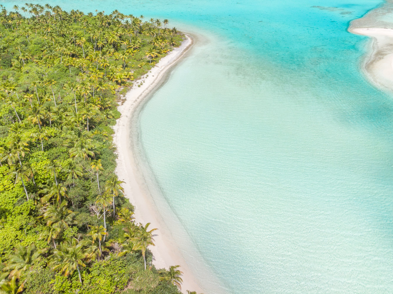 DJI_0824.jpg
