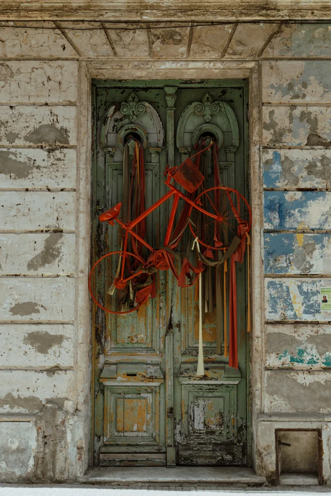 8C9A7150.jpg
