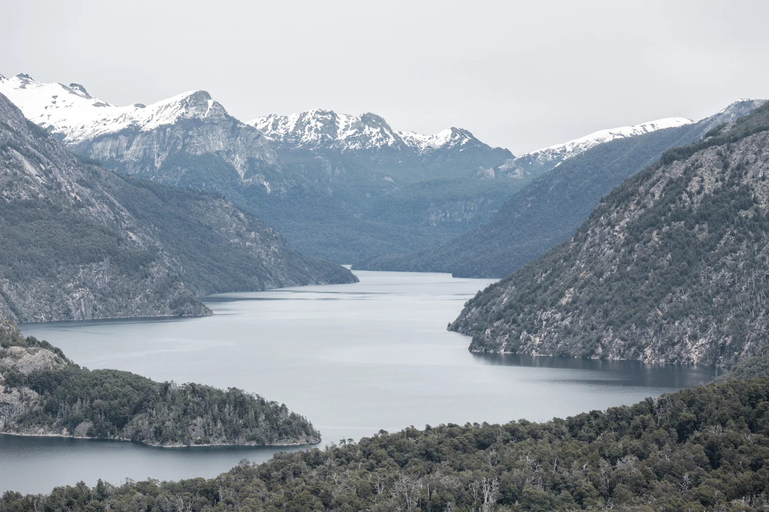 8C9A8100.jpg