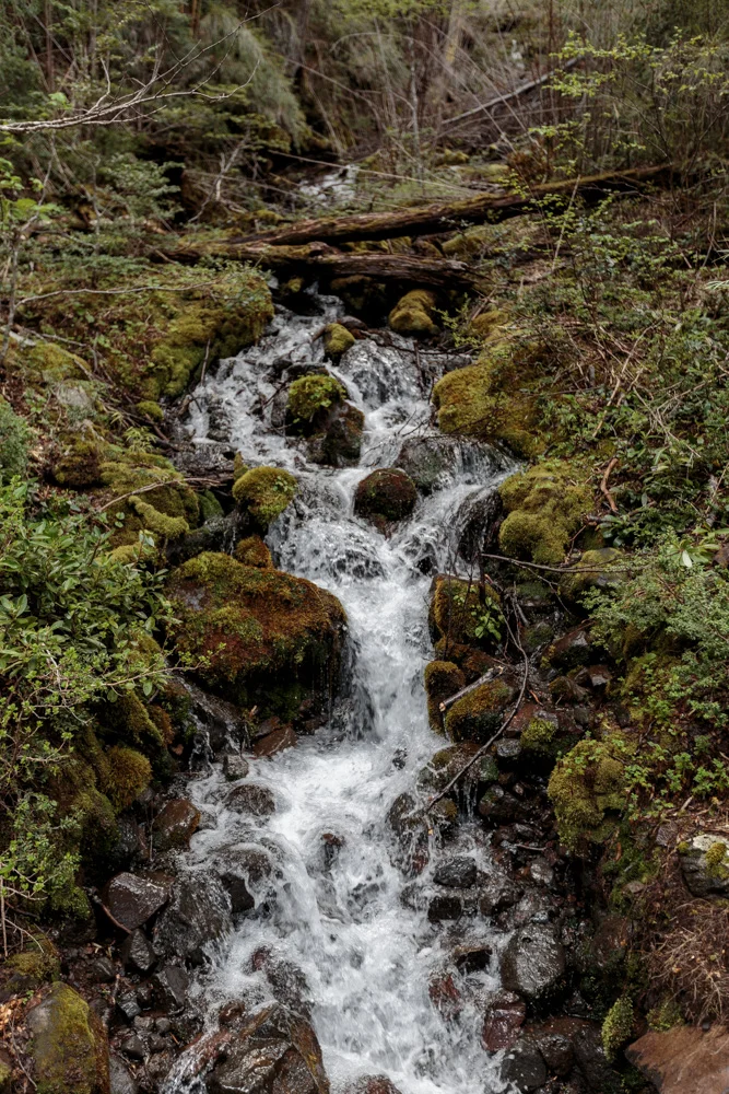 8C9A8407.jpg