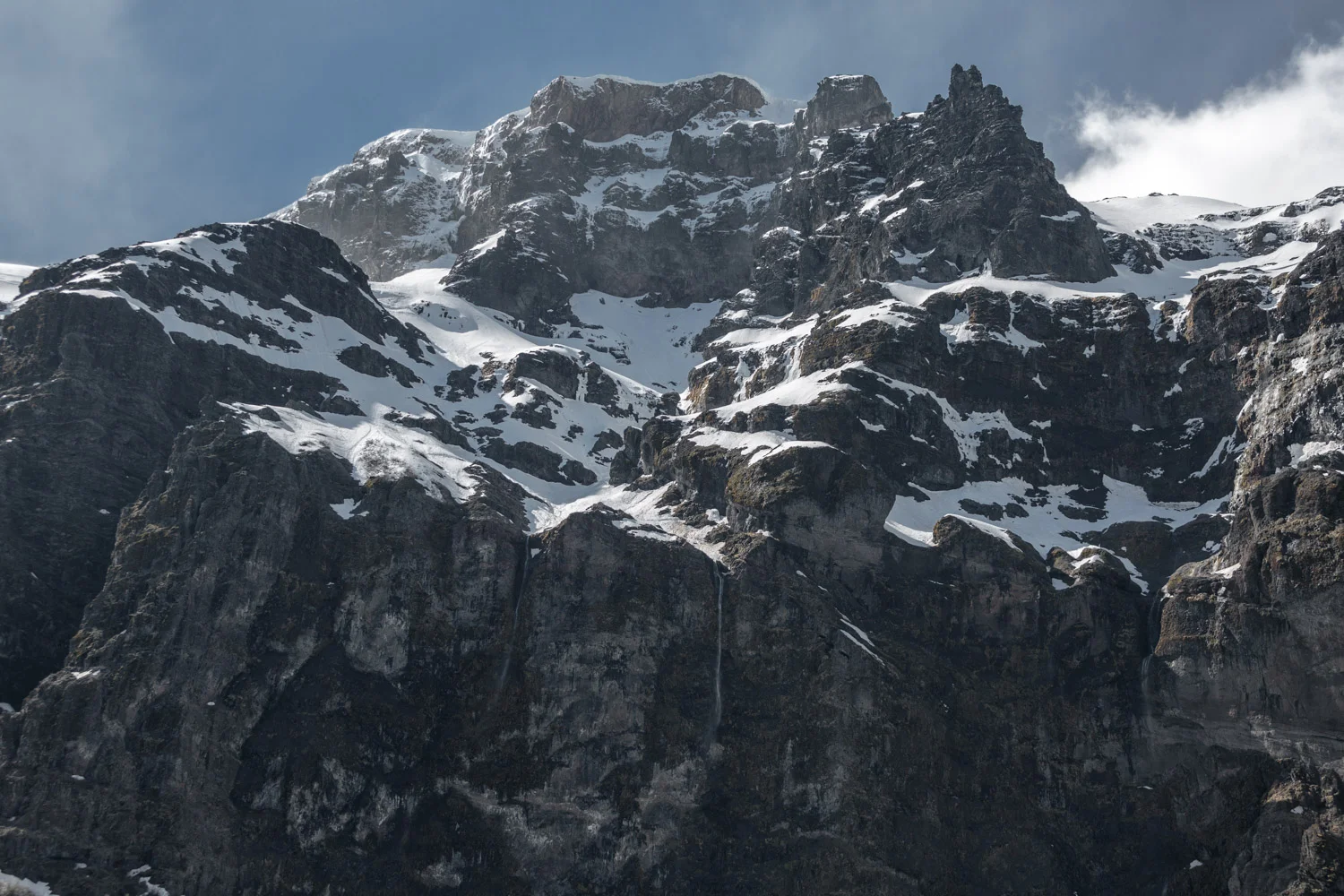 8C9A8455.jpg