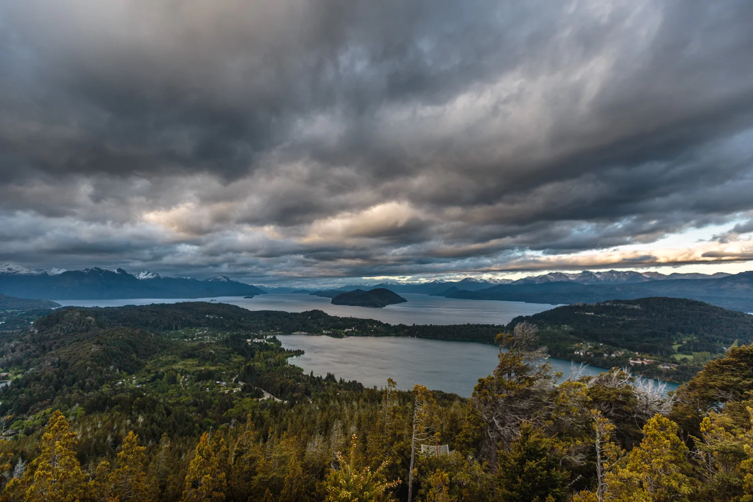 8C9A8769.jpg