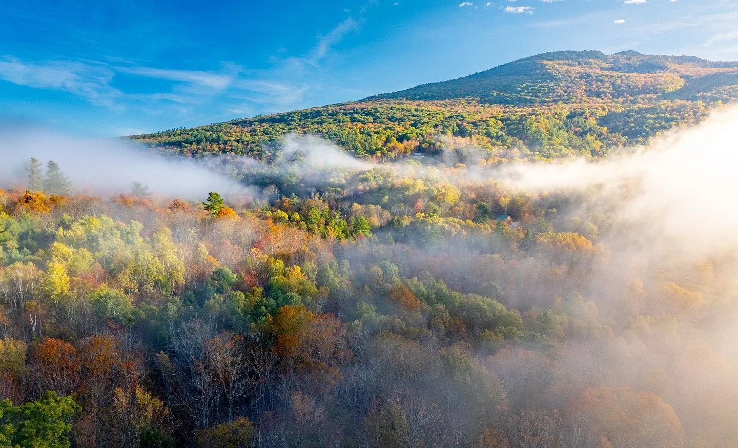 @downriver.media always captures the vibe. Here&rsquo;s an aerial shot of our surroundings during last week&rsquo;s @rumneyrendezvous . Thank you all for coming out and making this years festival so fantastic. We ended up raising about $7,000 total f