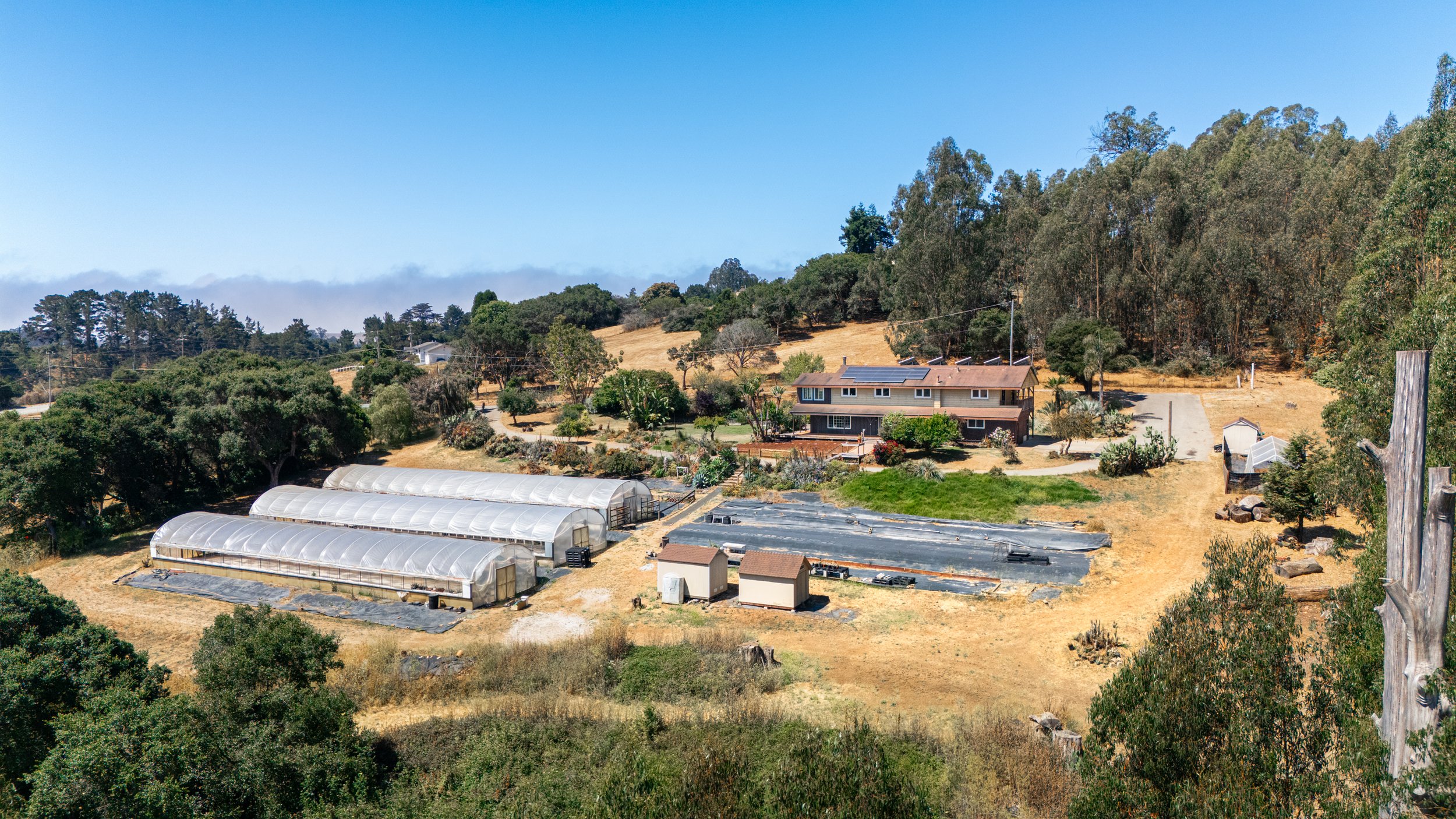 DJI_20250710111053_0032_D-Edit.jpg
