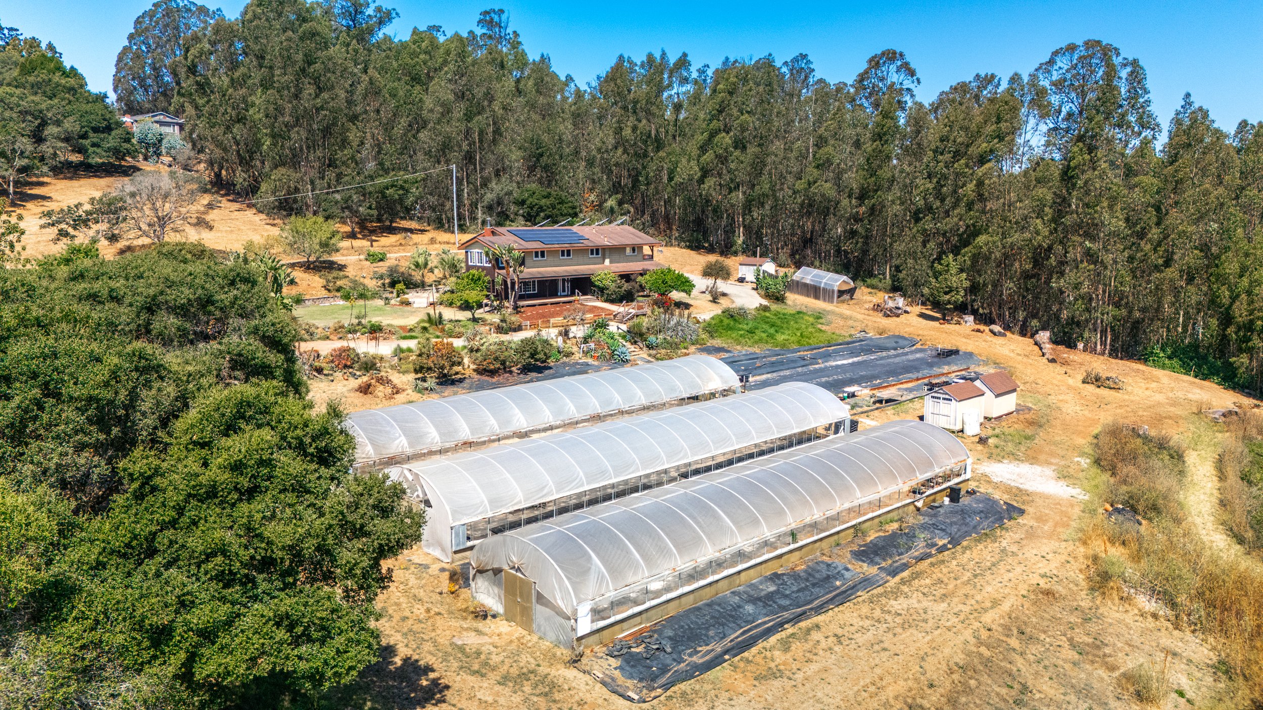 DJI_20250710110856_0023_D.jpg