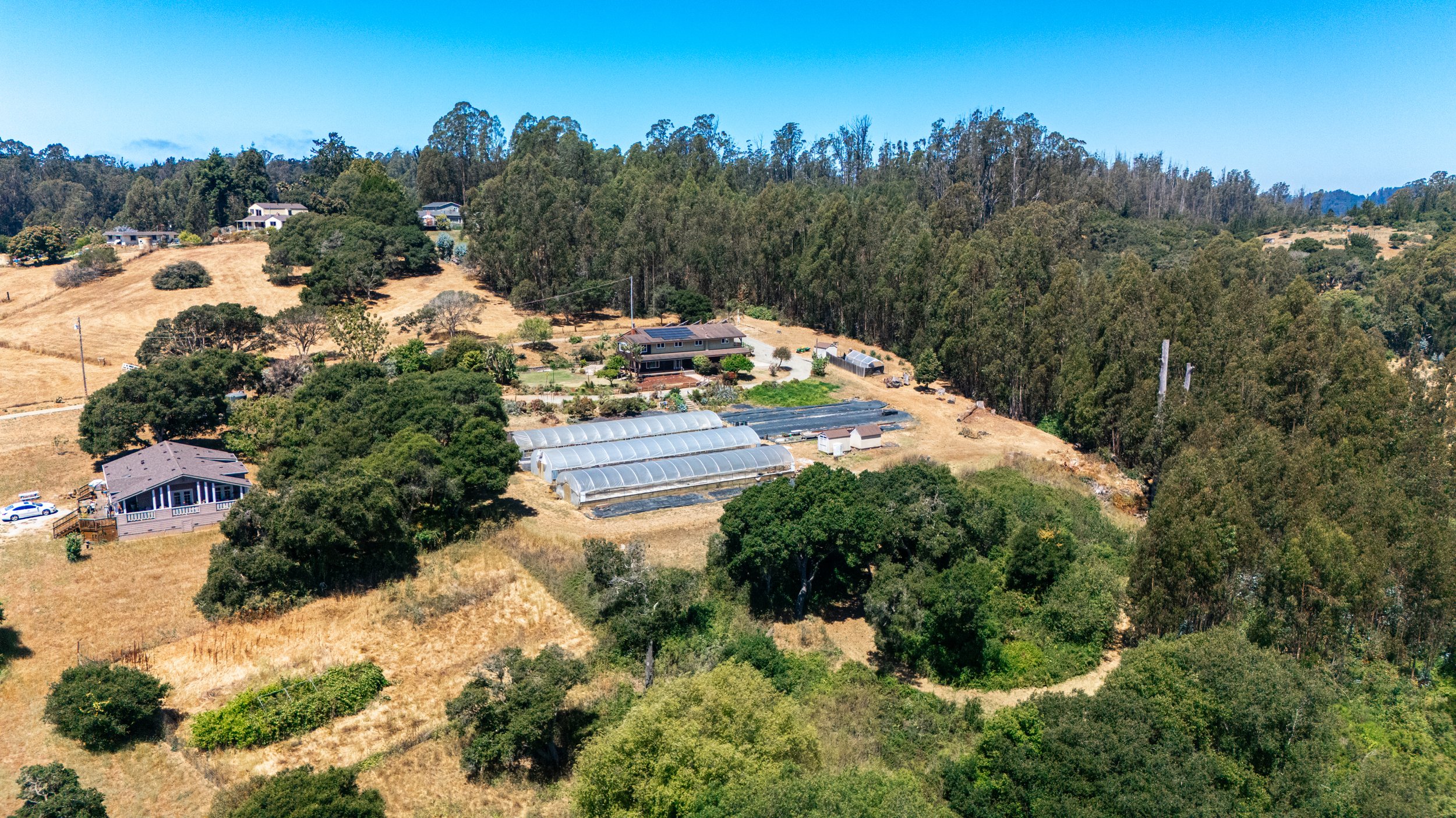 DJI_20250710113540_0047_D.jpg