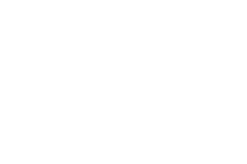 2.spin master.png