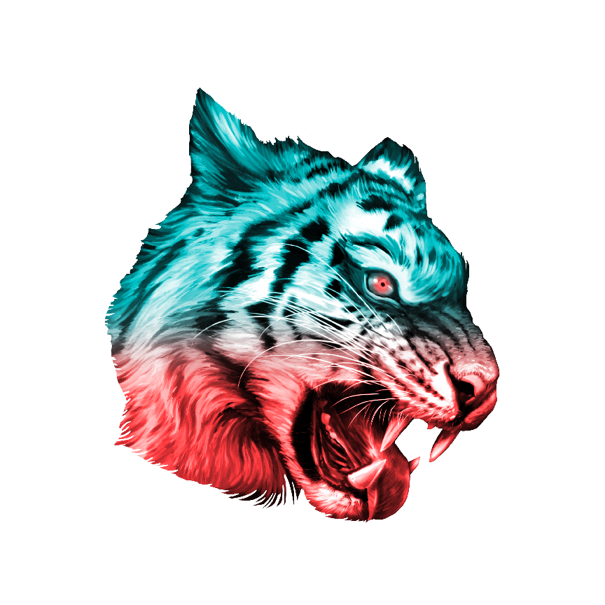 Tiger_EricRodriguez_illustration.png