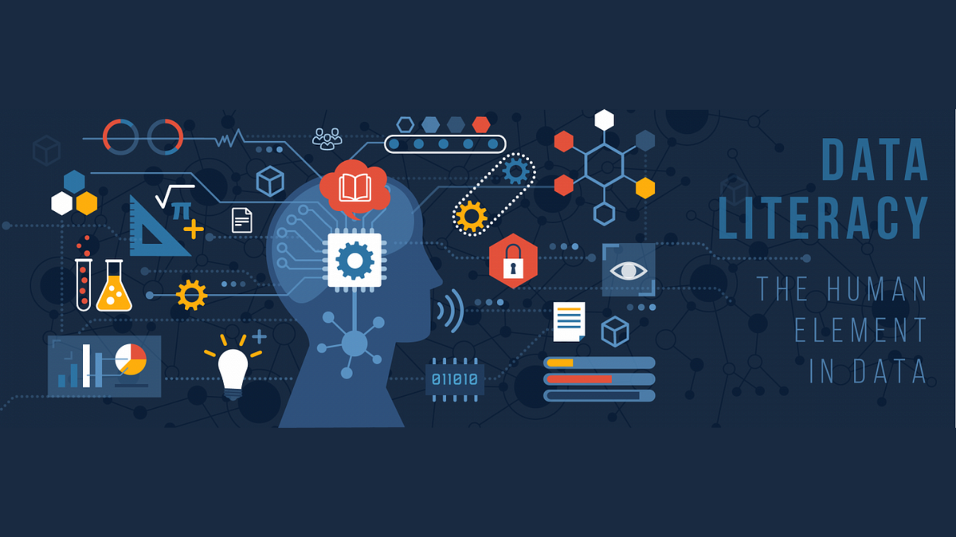 Building Data Literacy for Inclusion: Why It Matters More Than Ever