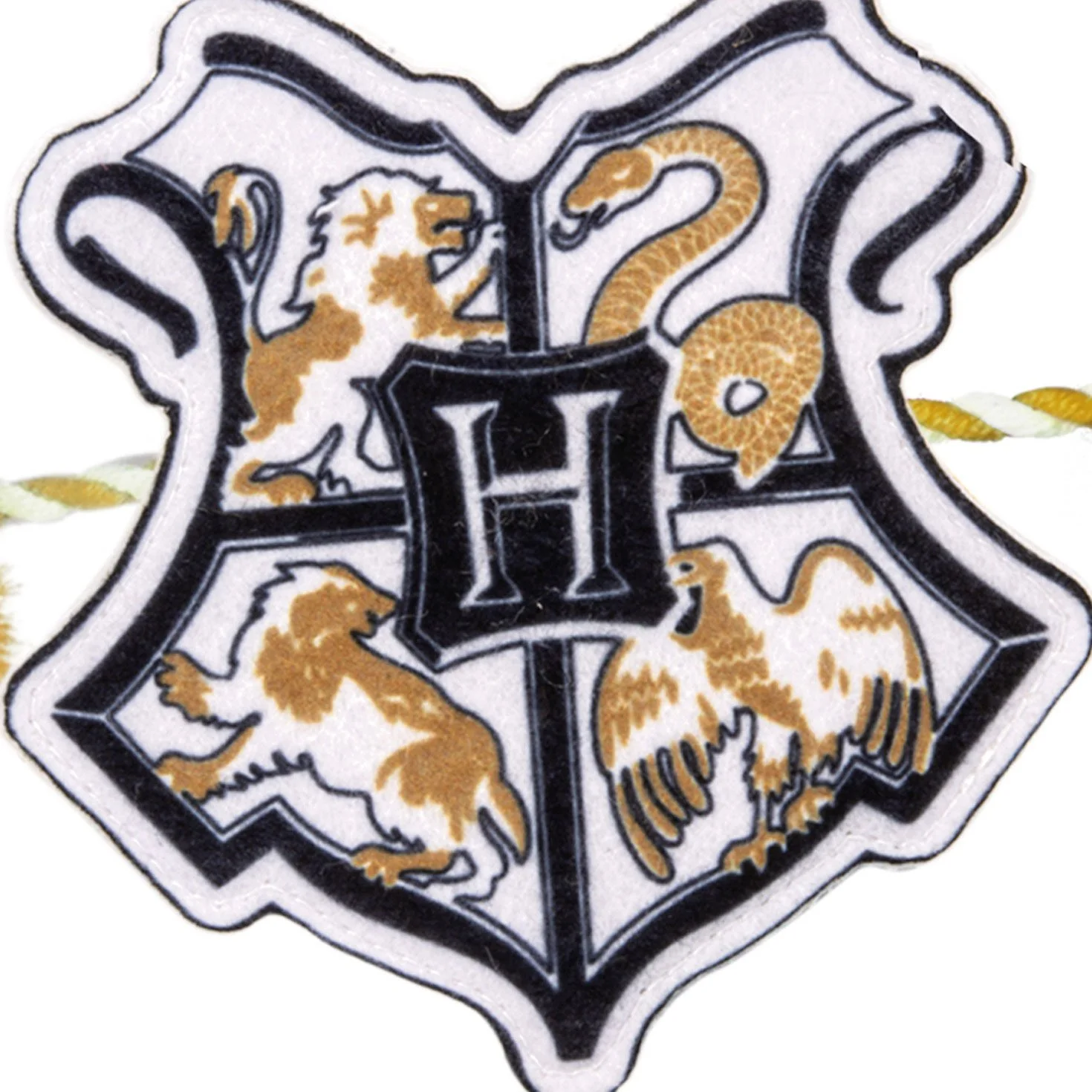 HCM4876_06.jpg