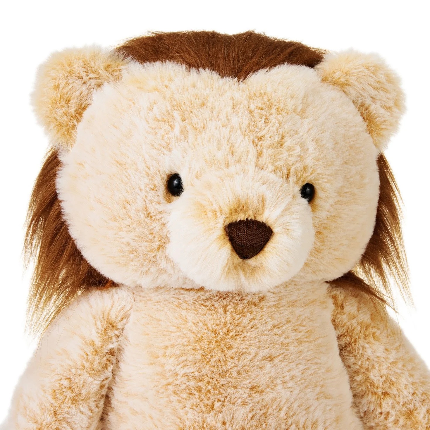 KID1659_04.jpg