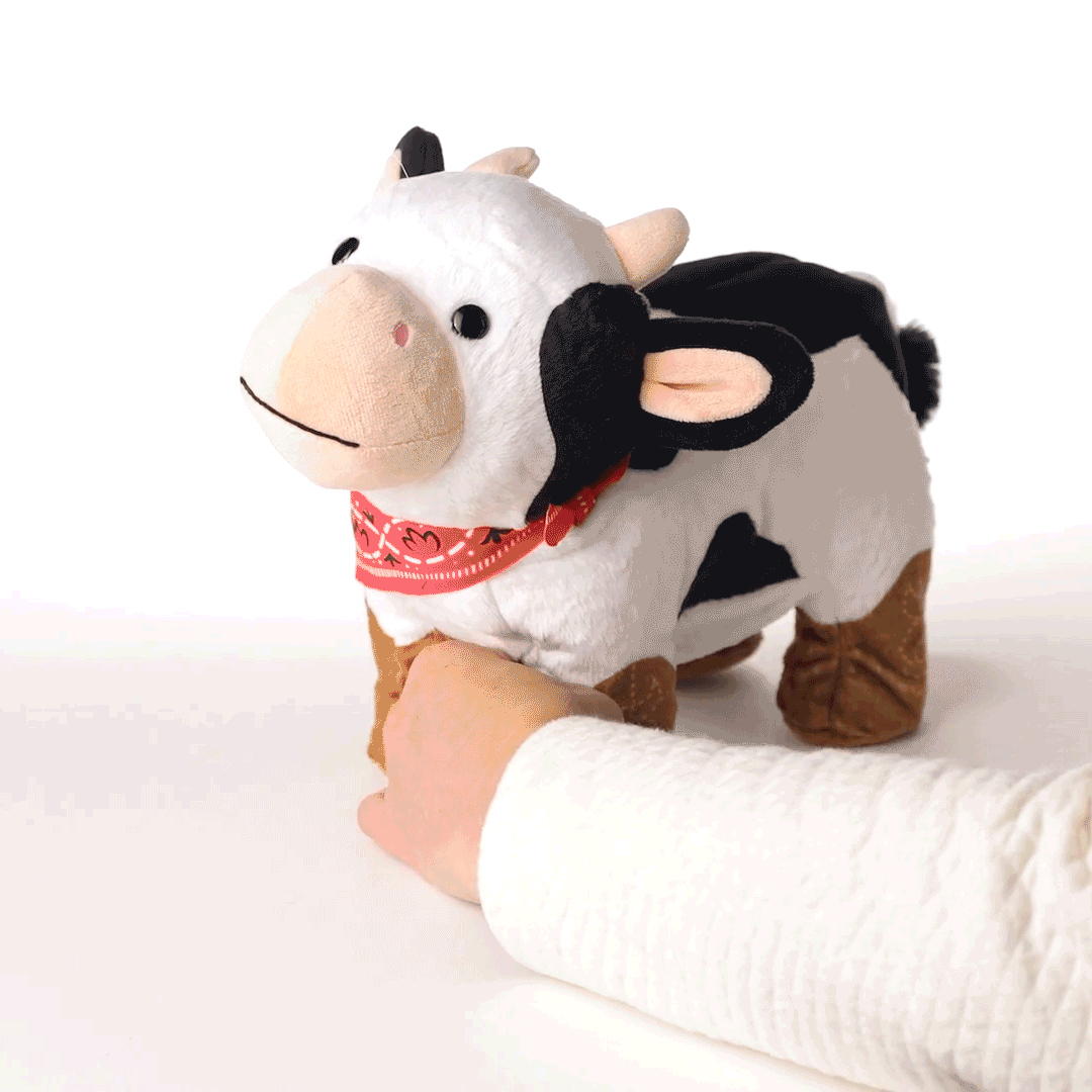 KID3029_02.gif