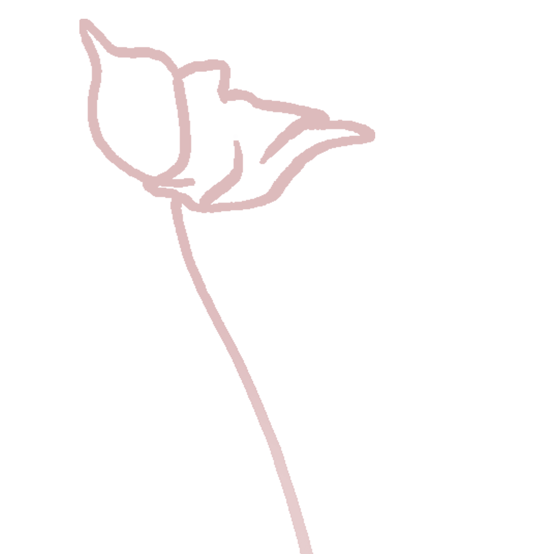 Bigger Mauve Flower.png