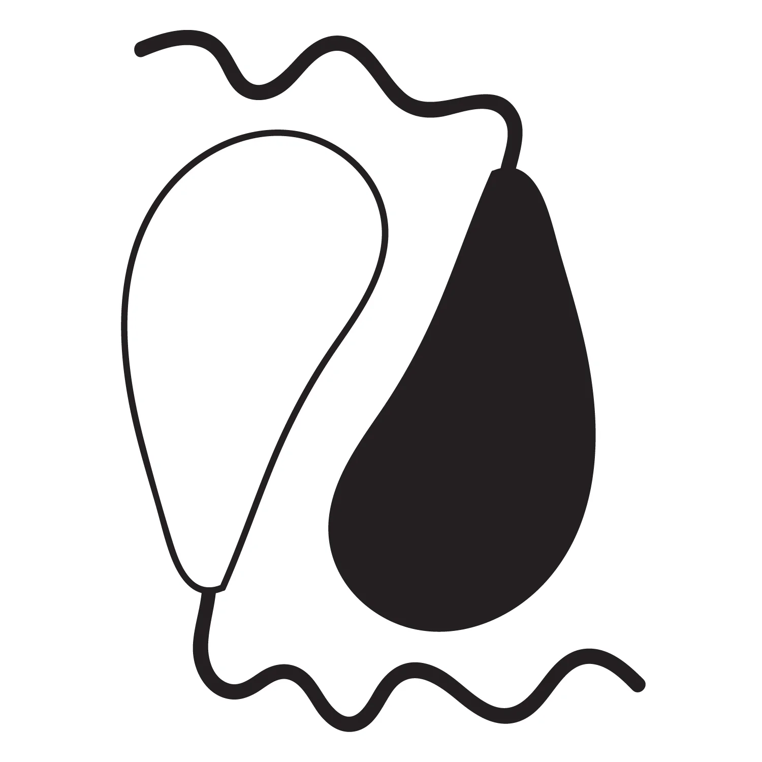 YinYang.jpg