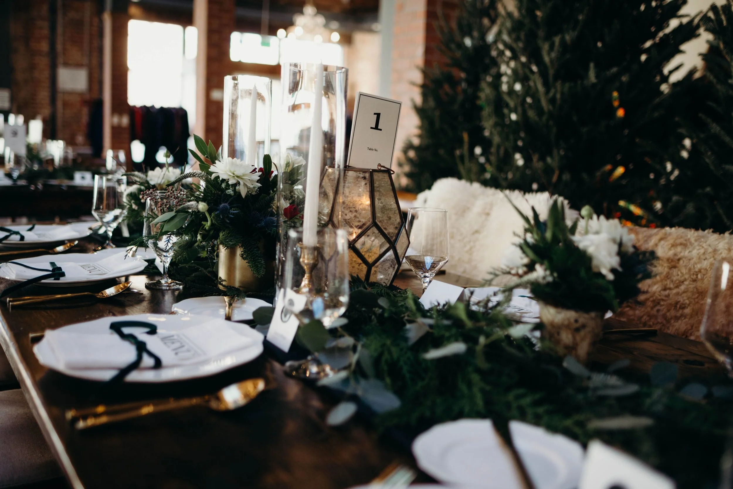 Brianna Coy Photography 7.jpg