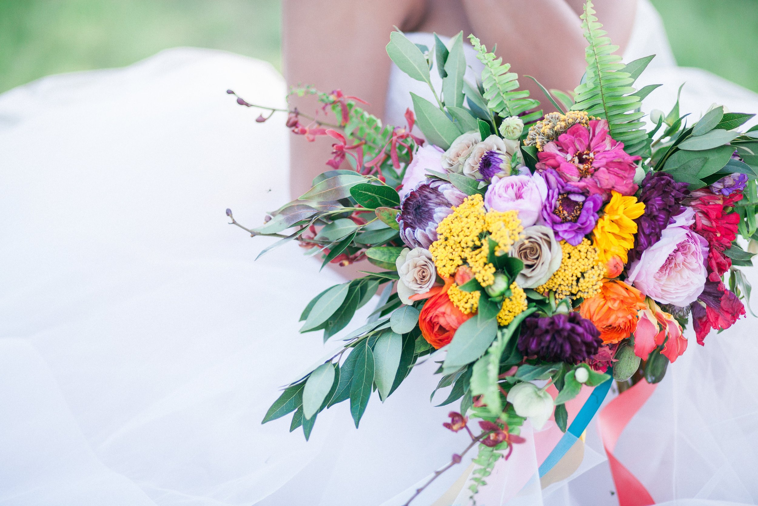 Becky Schwartz Photography 1.jpg