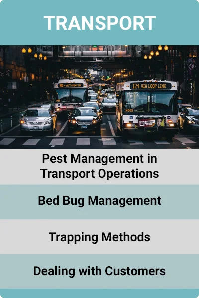 Business - Transport.jpg